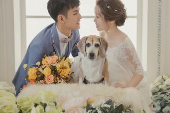禮服出租 首選最愛 婚紗禮服，各式款式 晚宴禮服、新娘禮服、晚禮服 供挑選。#禮服出租 #婚紗禮服 #晚宴禮服 #新娘禮服 #晚禮服