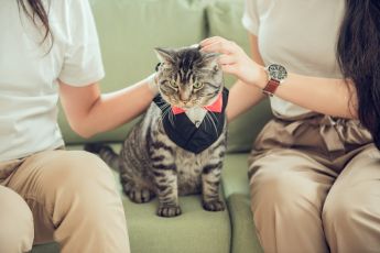 禮服出租 首選最愛 婚紗禮服，各式款式 晚宴禮服、新娘禮服、晚禮服 供挑選。#禮服出租 #婚紗禮服 #晚宴禮服 #新娘禮服 #晚禮服