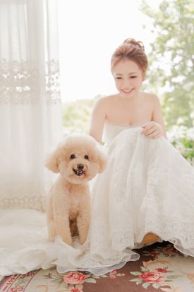 禮服出租 首選最愛 婚紗禮服，各式款式 晚宴禮服、新娘禮服、晚禮服 供挑選。#禮服出租 #婚紗禮服 #晚宴禮服 #新娘禮服 #晚禮服