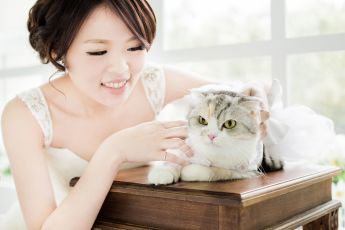 禮服出租 首選最愛 婚紗禮服，各式款式 晚宴禮服、新娘禮服、晚禮服 供挑選。#禮服出租 #婚紗禮服 #晚宴禮服 #新娘禮服 #晚禮服