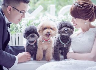 禮服出租 首選最愛 婚紗禮服，各式款式 晚宴禮服、新娘禮服、晚禮服 供挑選。#禮服出租 #婚紗禮服 #晚宴禮服 #新娘禮服 #晚禮服