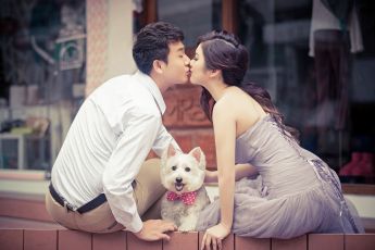 禮服出租 首選最愛 婚紗禮服，各式款式 晚宴禮服、新娘禮服、晚禮服 供挑選。#禮服出租 #婚紗禮服 #晚宴禮服 #新娘禮服 #晚禮服